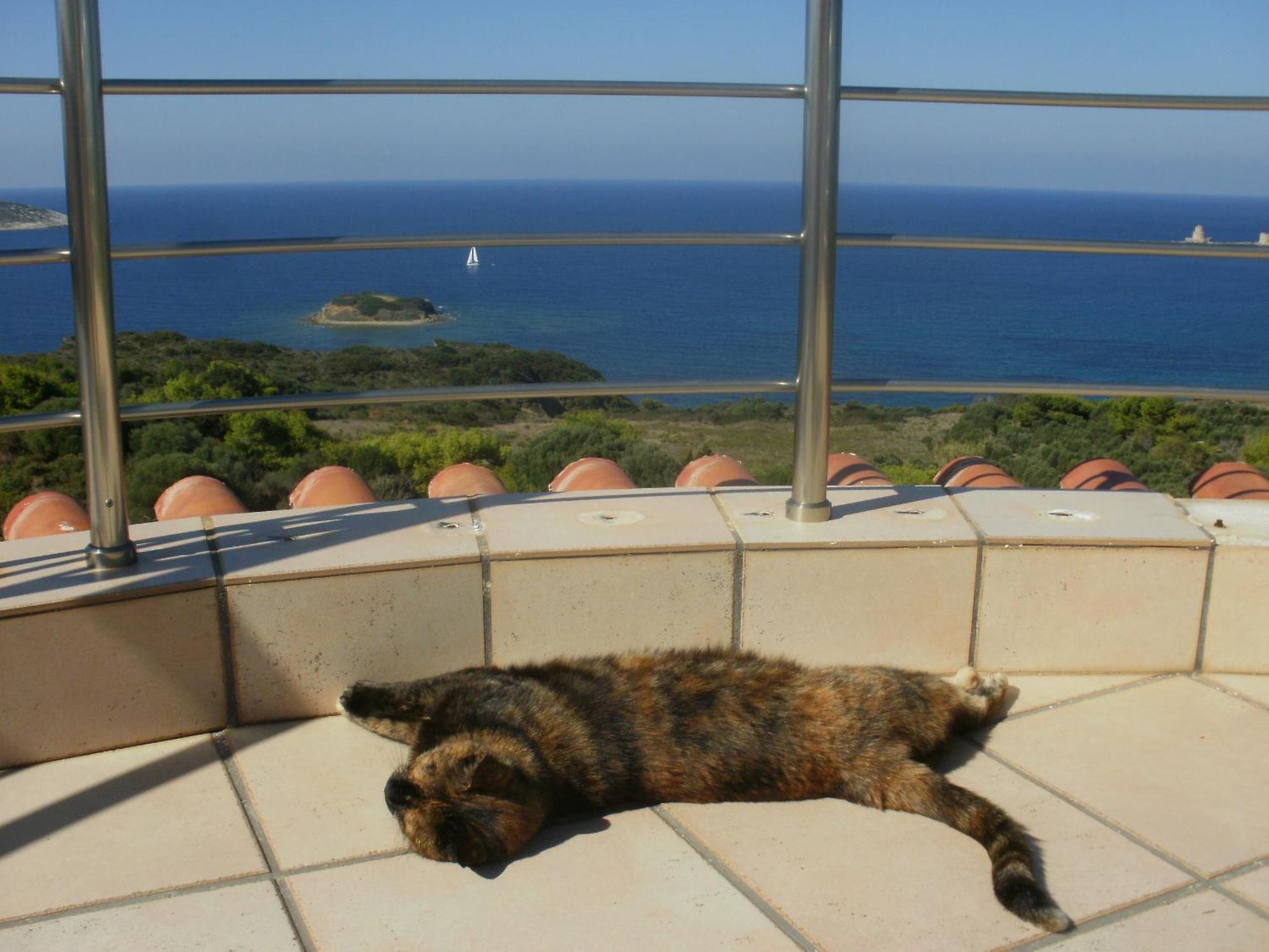 Charly Point Villa メトーニ エクステリア 写真
